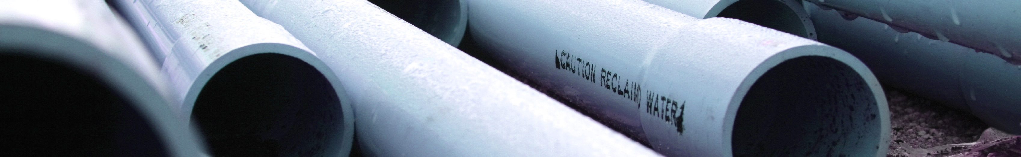 Image From Tallahassee