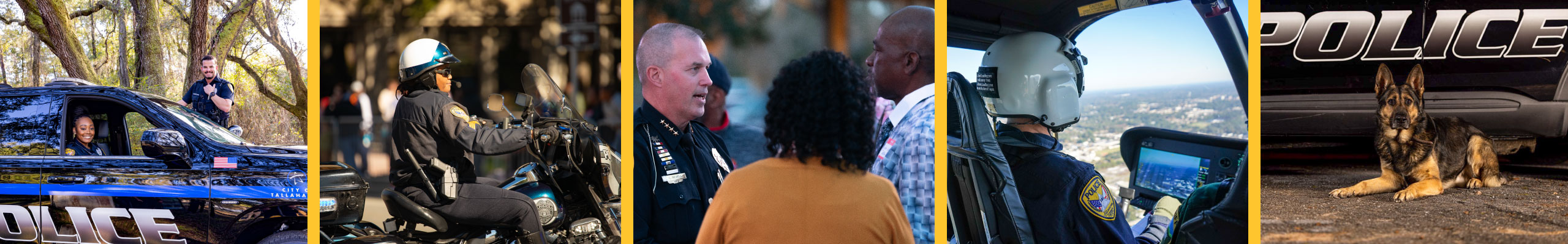 Image From Tallahassee