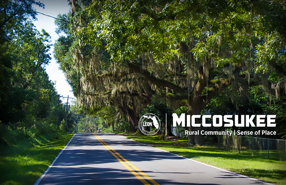 Miccosukee Road
