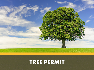 Tree Permit